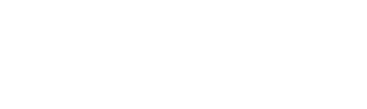 Flick